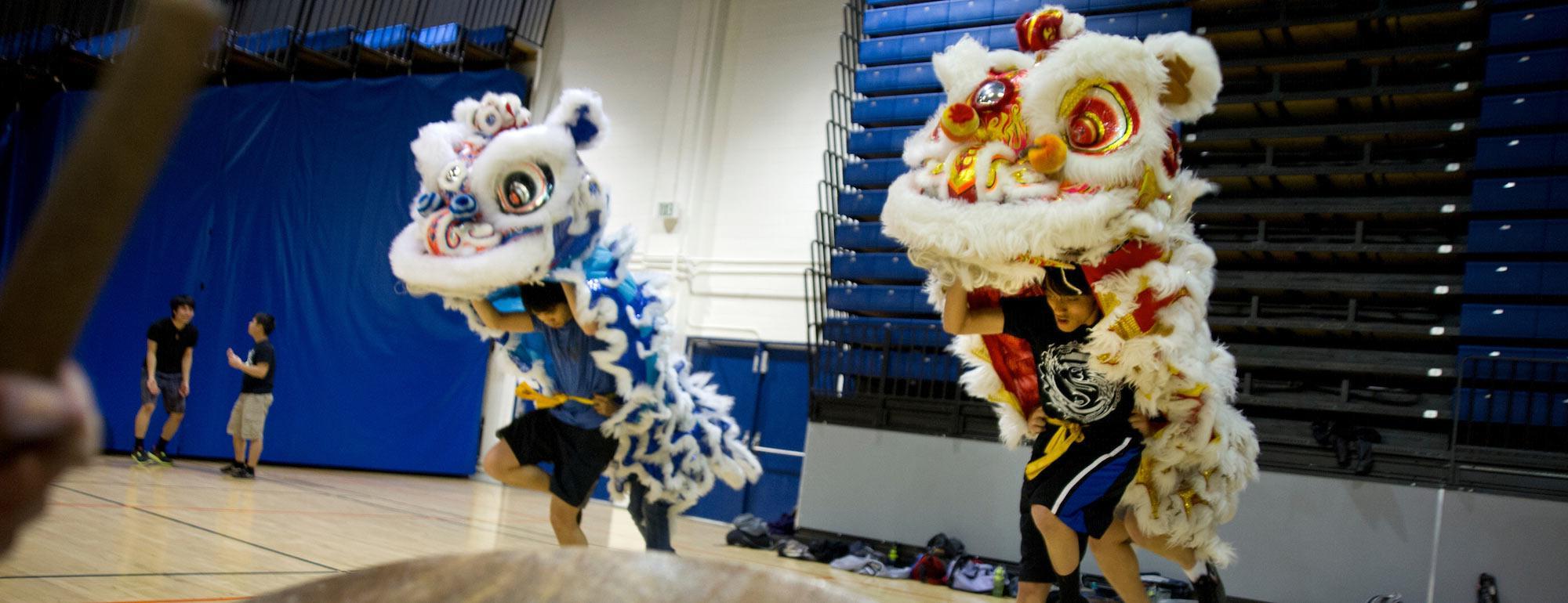 几个学生在练习中国传统的“舞狮”。