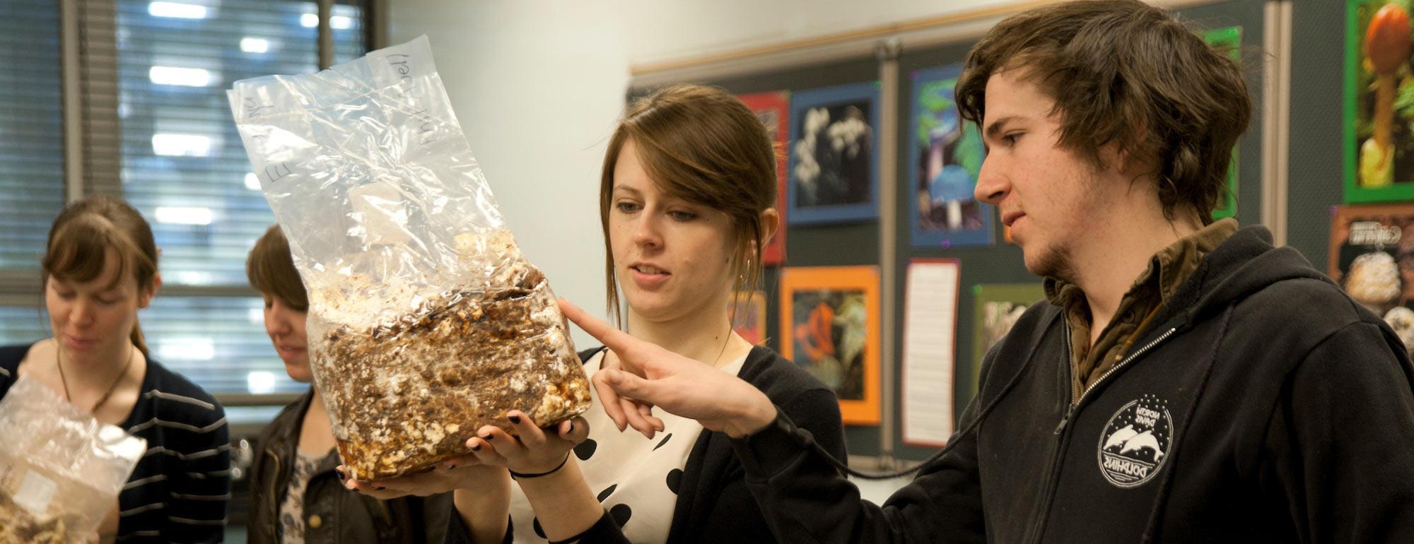 两个学生正在检查一个香菇开胃包