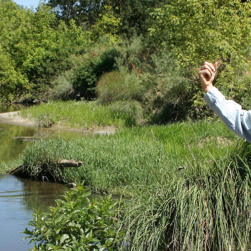 一位amjs澳金沙门的研究人员指着他身后的湿地