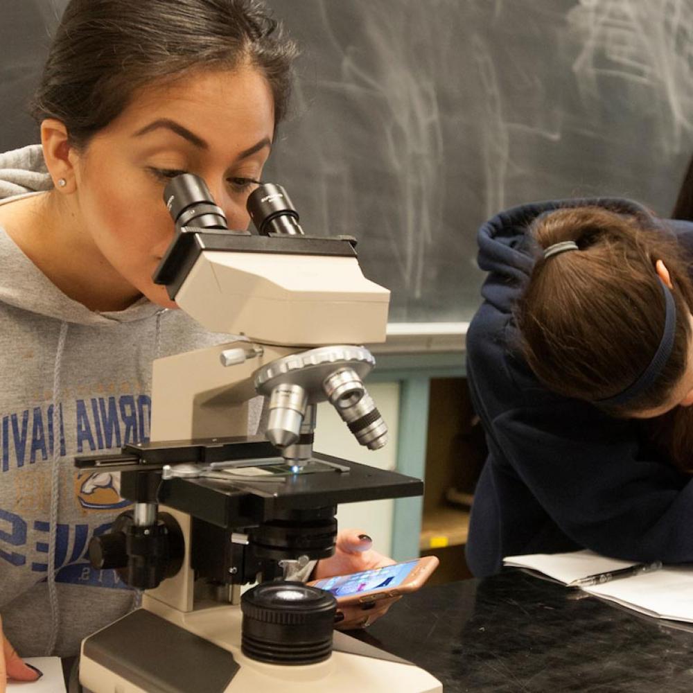 一个学生用显微镜检查植物标本