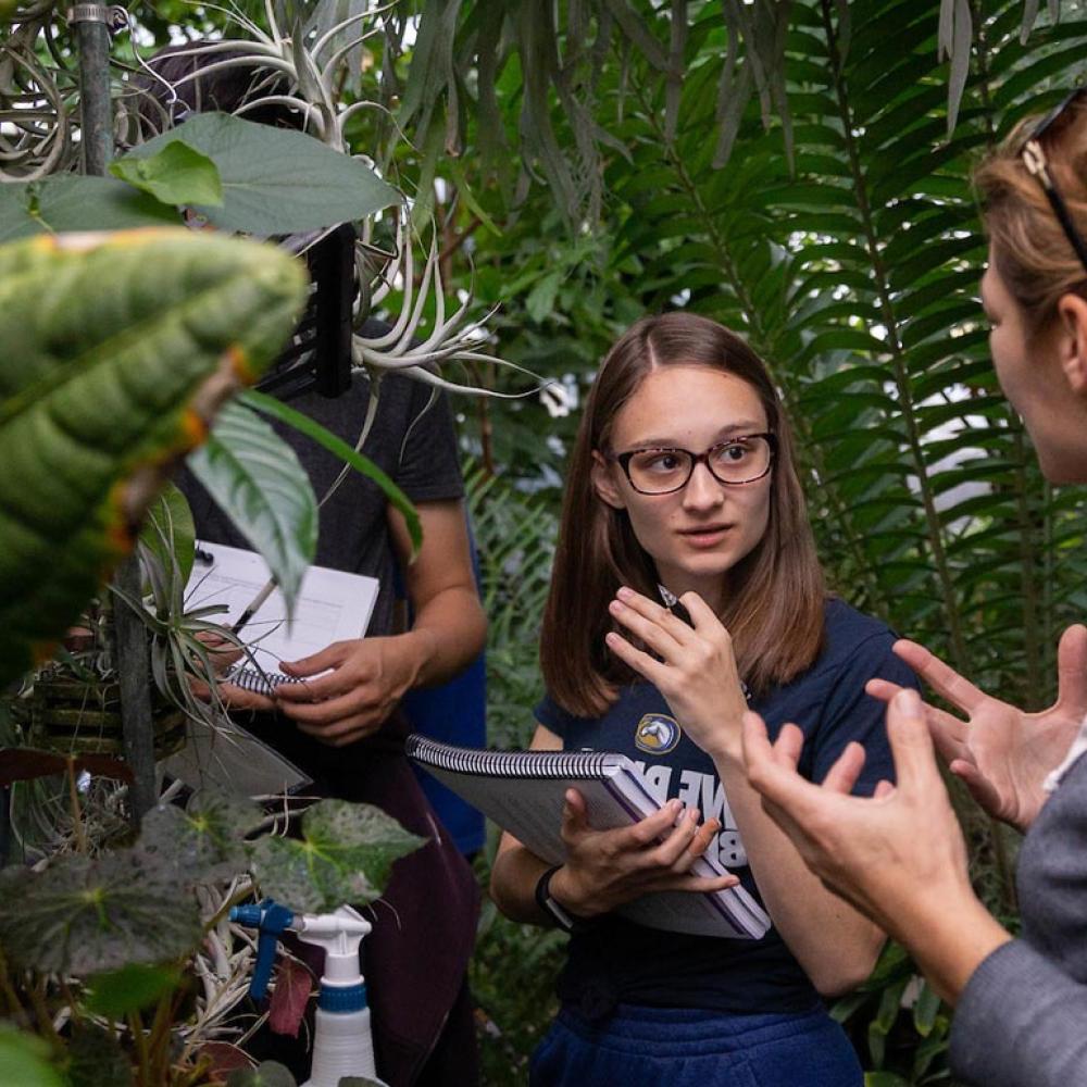 一名学生在amjs澳金沙门的一个温室里与她的教授讨论植物标本
